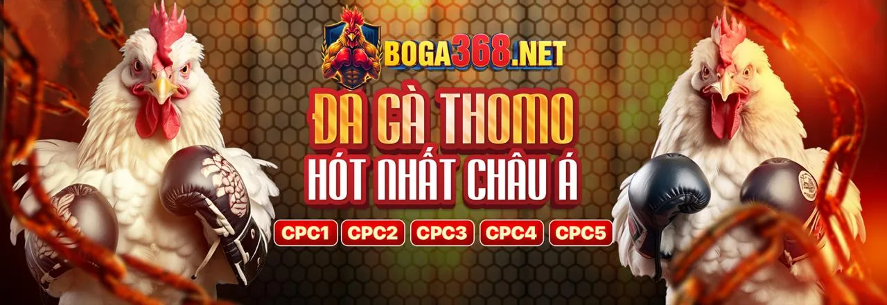 Đá gà trực tuyến HB88 APK 2026